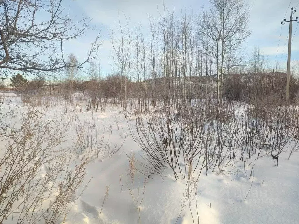 Участок в Свердловская область, Горноуральский городской округ, с. ... - Фото 1