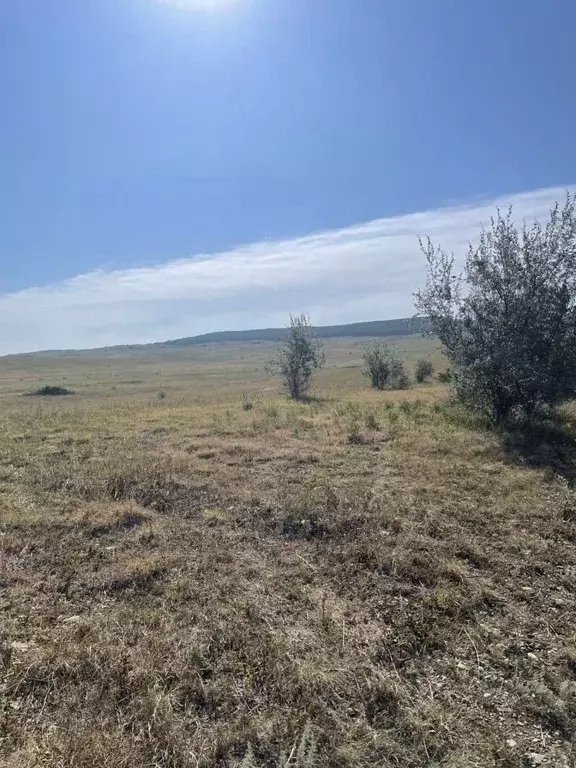 Участок в Ставропольский край, Шпаковский муниципальный округ, ... - Фото 1