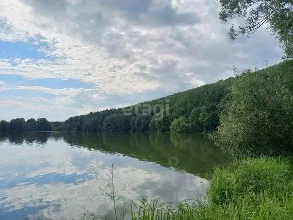 Участок в Мордовия, Кочкуровский район, с. Мурань Центральная ул. ... - Фото 1