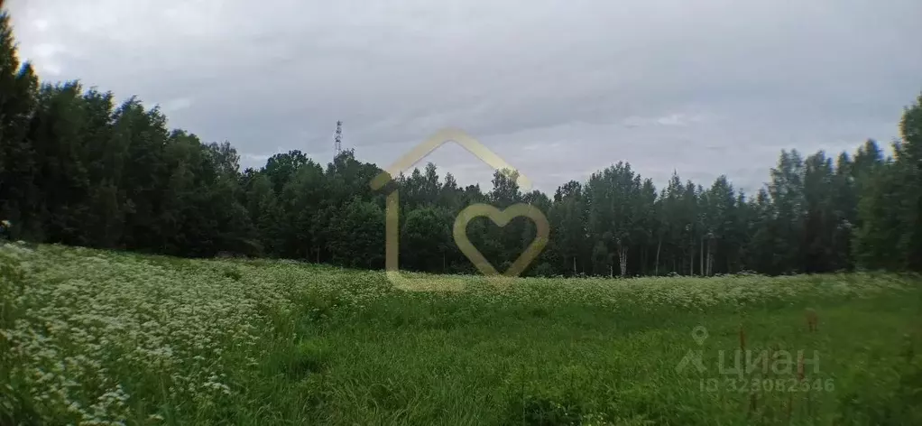 Участок в Московская область, Пушкинский городской округ, Царевское ... - Фото 1