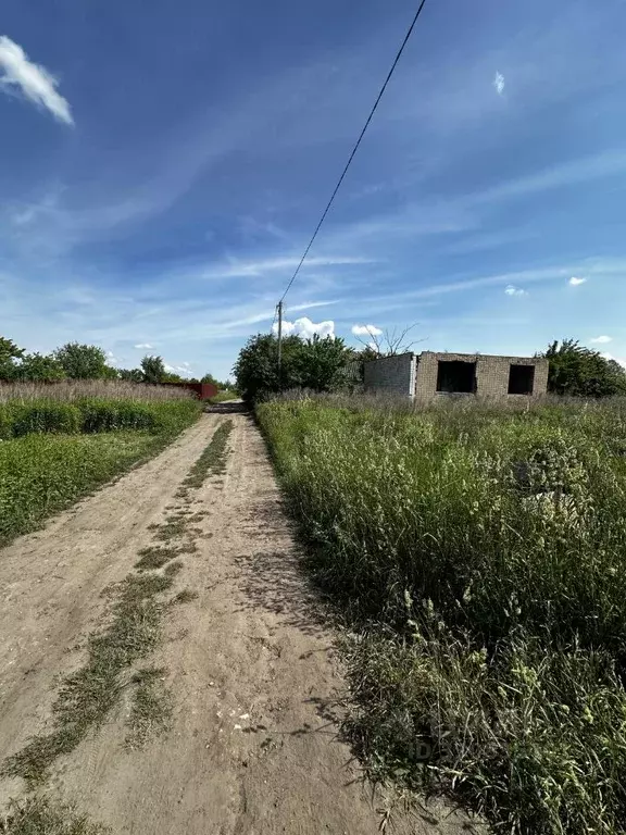 Участок в Брянская область, Брянск Надежда садоводческое товарищество, ... - Фото 1