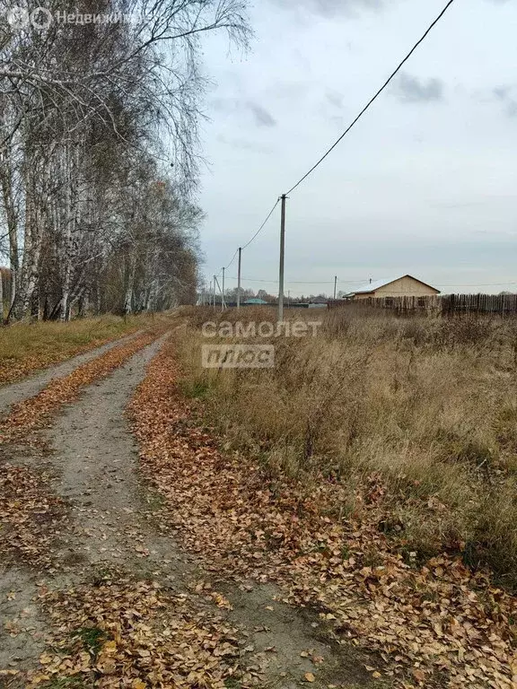 Участок в Тюменский муниципальный округ, деревня Решетникова (28 м) - Фото 2