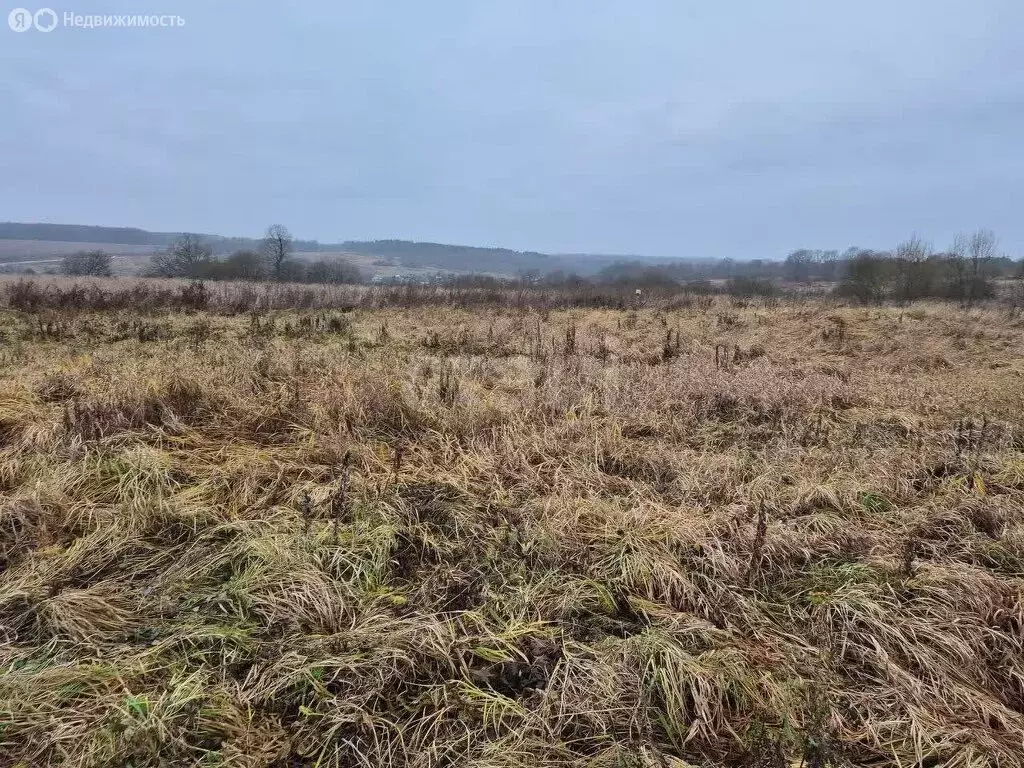 Участок в Ахлебинино, село Ахлебинино (17 м) - Фото 1