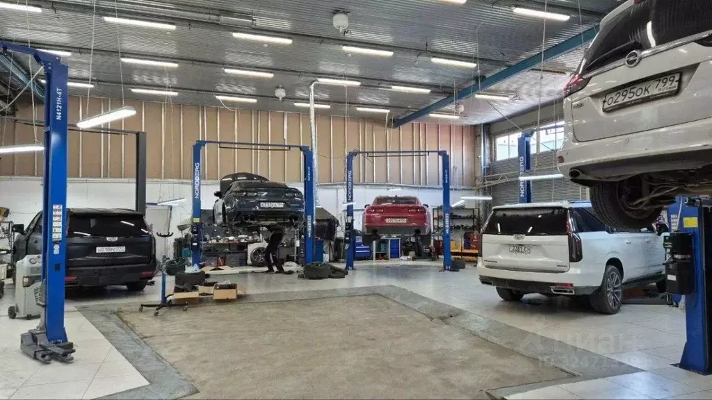 Помещение свободного назначения в Москва Дубнинская ул., 79 (850 м) - Фото 2