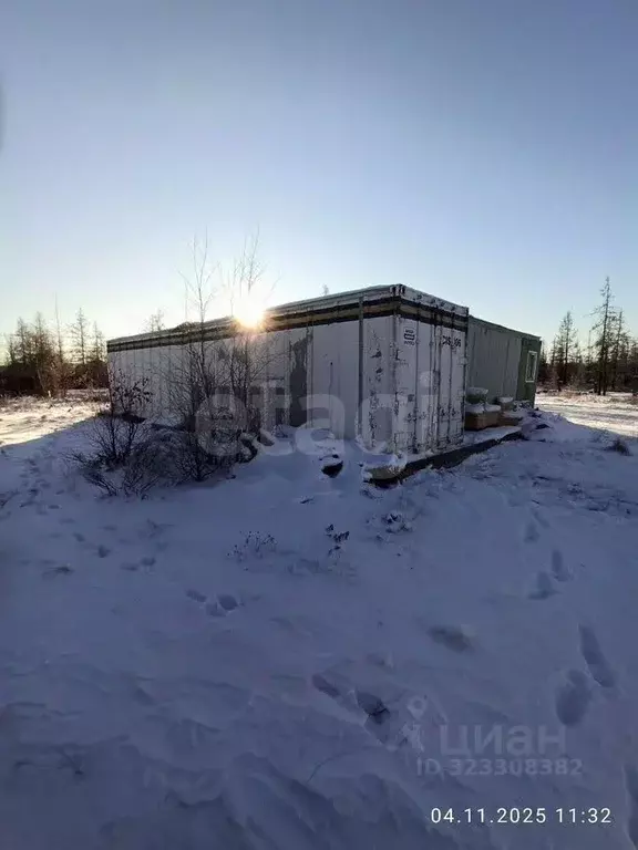 Участок в Ямало-Ненецкий АО, Новый Уренгой Титан ДНТ, 124 (6.0 сот.) - Фото 1