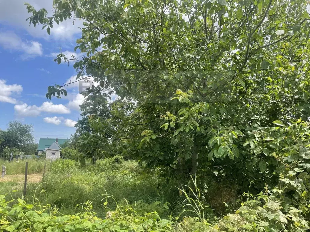 Участок в Адыгея, Майкоп Дальняя ул., 24 (5.0 сот.) - Фото 2