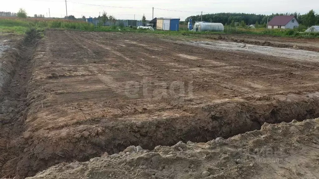 Участок в Ярославская область, Ярославский муниципальный округ, Новые ... - Фото 1