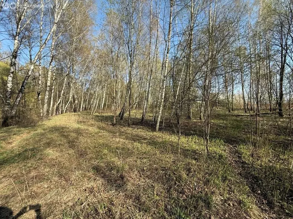 Участок в село Булатниково, Колхозная улица, 20 (145 м) - Фото 1