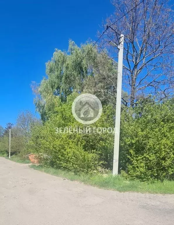 Участок в Калининградская область, Пионерский Ягодка СНТ,  (6.0 сот.) - Фото 2