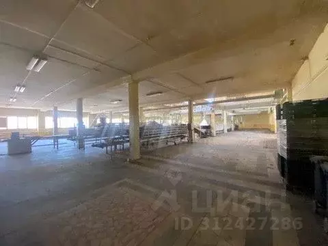 Производственное помещение в Тульская область, Тула Веневское ш., 4к15 ... - Фото 1