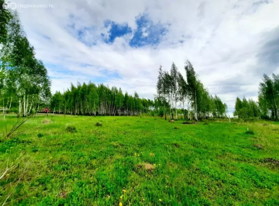 Участок в Кашира, Лиственная улица (12 м) - Фото 2