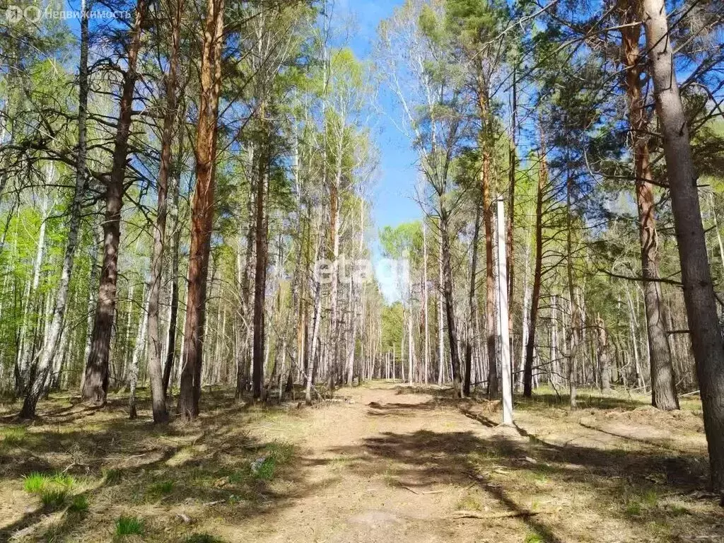 Участок в Тюменский район, деревня Нариманова (62.2 м) - Фото 0