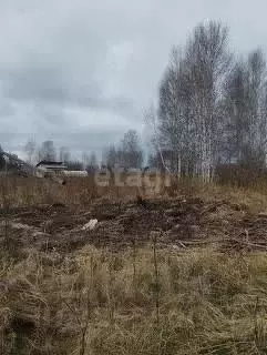 Участок в Калининградская область, Полесский муниципальный округ, пос. ... - Фото 1