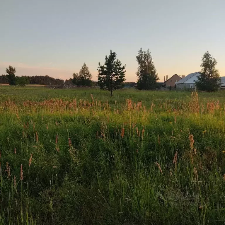 Участок в Ульяновская область, Чердаклинский район, Богдашкинское ... - Фото 1