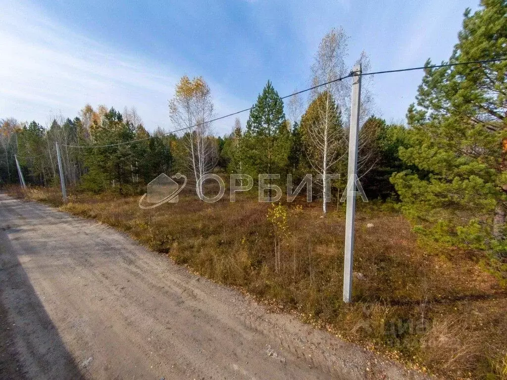 Участок в Тюменская область, Тюмень Велижанский тракт, 7-й км (16.15 ... - Фото 0