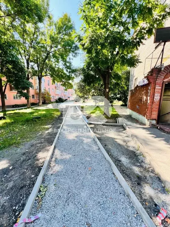 Торговая площадь в Новосибирская область, Новосибирск Ветлужская ул., ... - Фото 1