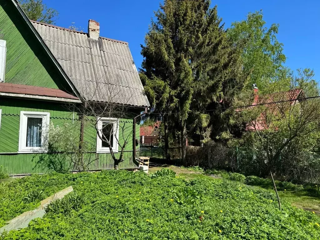 Участок в Санкт-Петербург, Санкт-Петербург, Сестрорецк 9-я линия, 13 ... - Фото 2