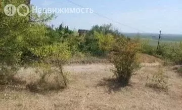 Участок в Большелогское сельское поселение, хутор Пчеловодный (6 м) - Фото 0