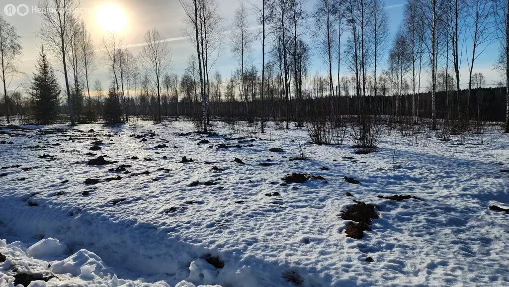 Участок в Московская область, городской округ Клин, коттеджный посёлок ... - Фото 1