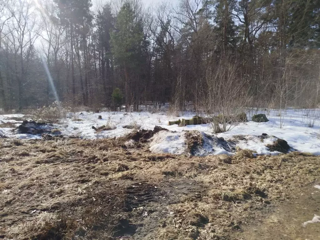 Участок в Калининградская область, Ладушкин Красноармейская ул. (6.0 ... - Фото 2