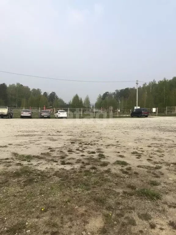 Участок в Свердловская область, Верхняя Пышма городской округ, пос. ... - Фото 1