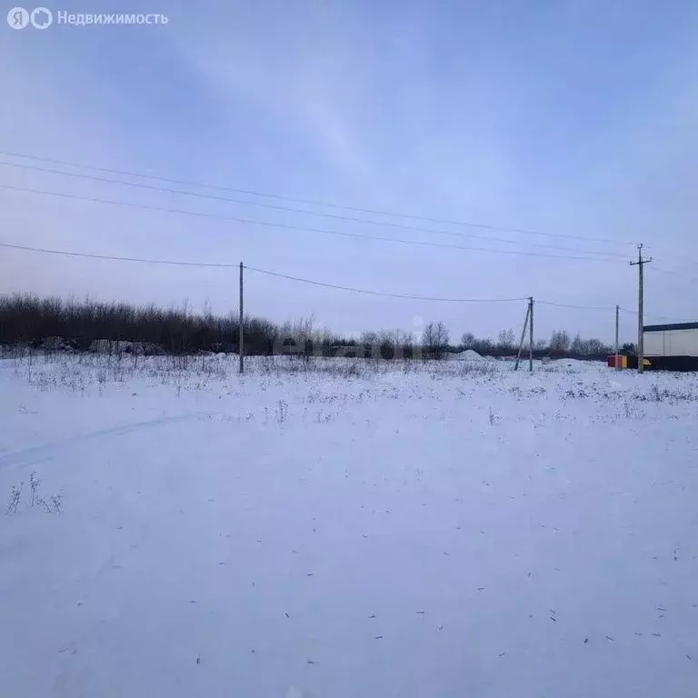 Участок в Отрадовский сельсовет, СНТ Калинка (4 м) - Фото 0