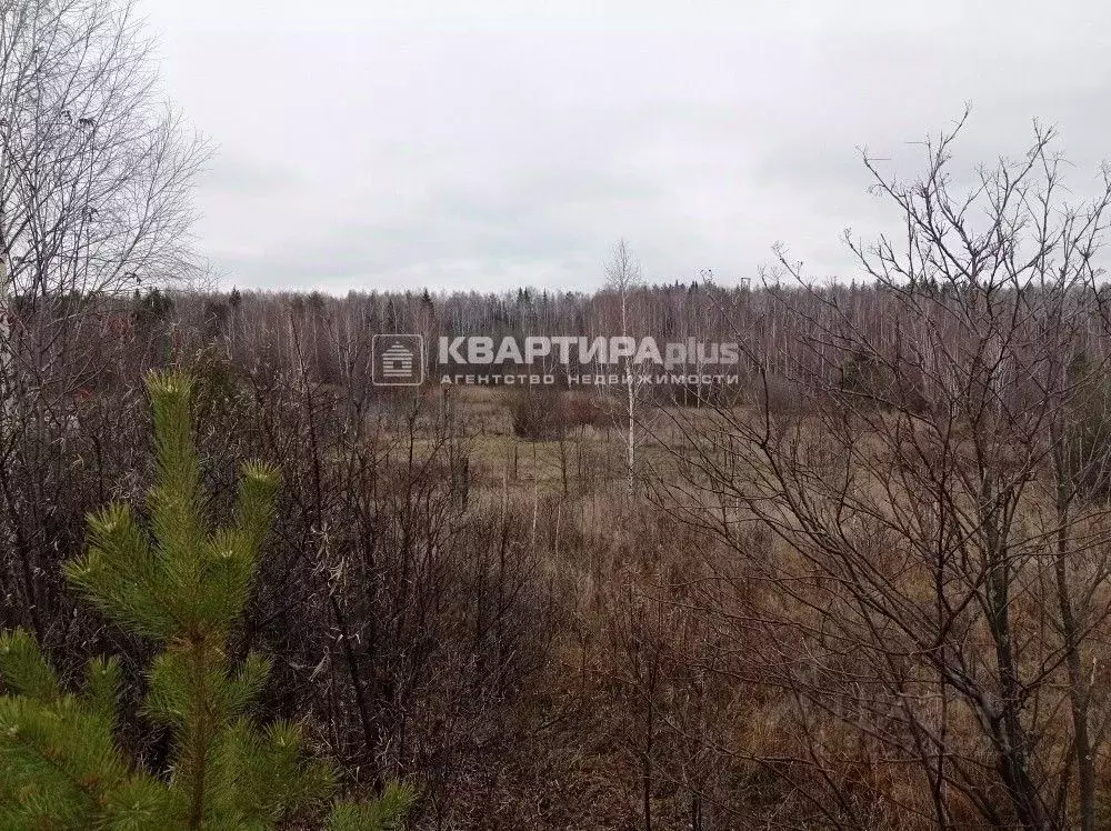 Участок в Свердловская область, Кировградский муниципальный округ, ... - Фото 1