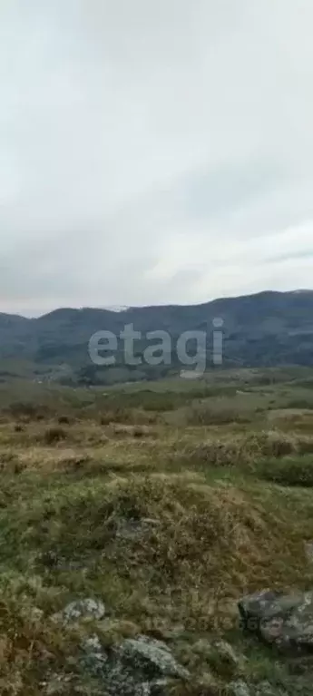 Участок в Алтайский край, Усть-Калманский район, с. Верх-Слюдянка ул. ... - Фото 1