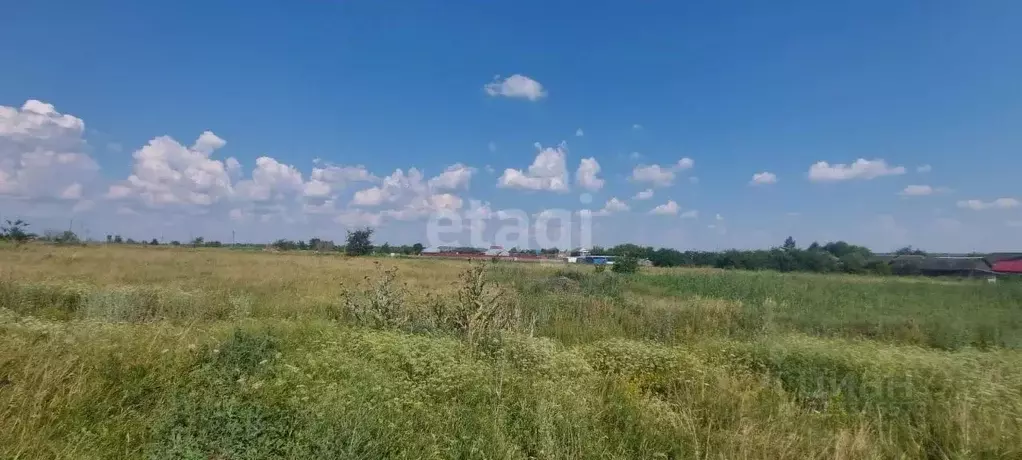 Участок в Воронежская область, Борисоглебский городской округ, с. ... - Фото 0