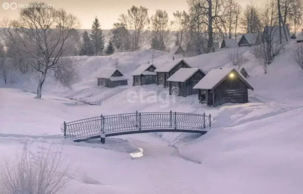 Участок в Некрасовский район, сельское поселение Красный Профинтерн, ... - Фото 1