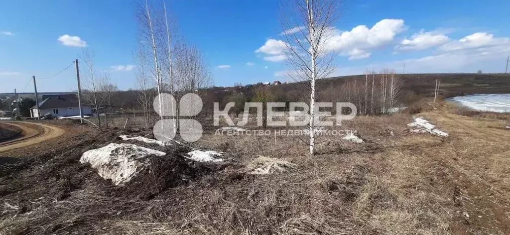 Участок в Пермский край, Чернушинский городской округ, д. Зверево ул. ... - Фото 0