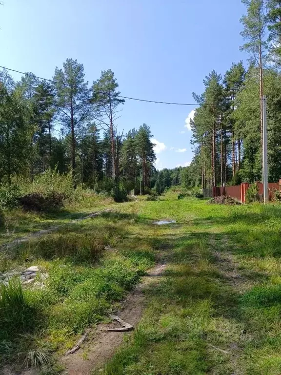 Участок в Тверская область, Конаково  (10.0 сот.) - Фото 1