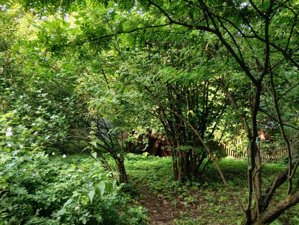 Дом в Московская область, Раменский муниципальный округ, Удельная пгт ... - Фото 2