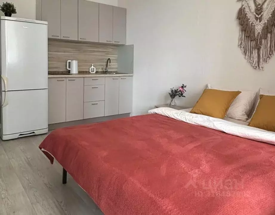 1-к кв. Красноярский край, Красноярск ул. Борисова, 30 (25.0 м) - Фото 0