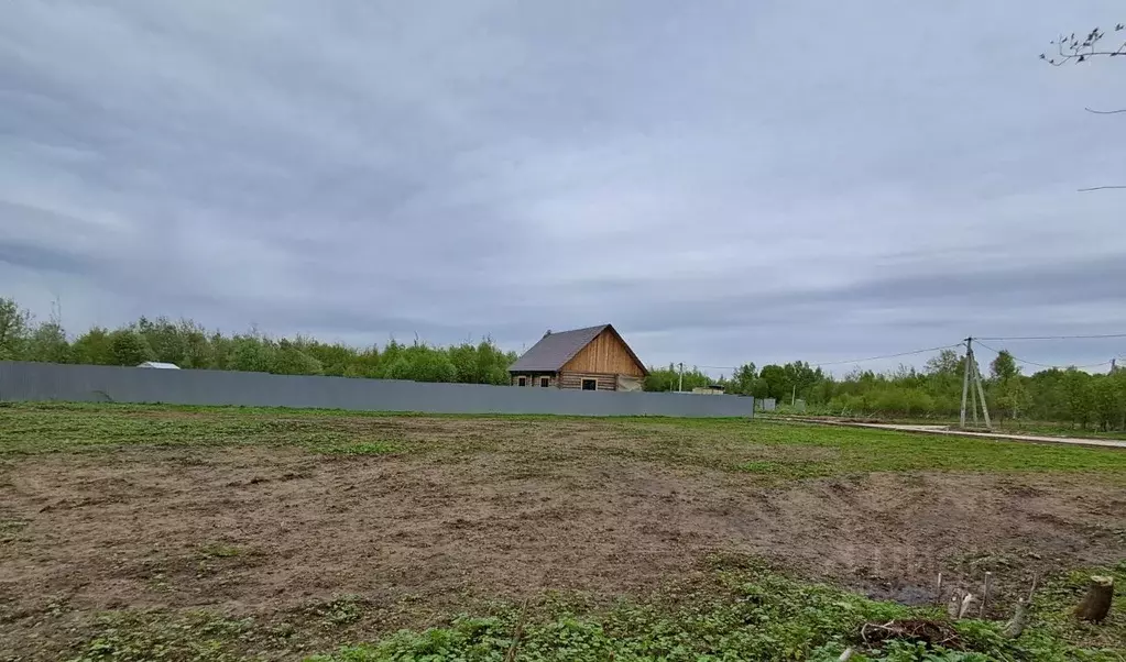 Участок в Московская область, Клин городской округ, д. Колосово ул. ... - Фото 2