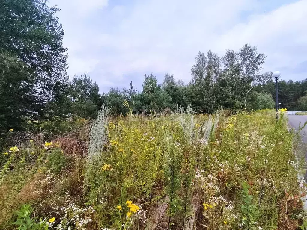 Участок в Калужская область, Бабынинский муниципальный округ, ... - Фото 2