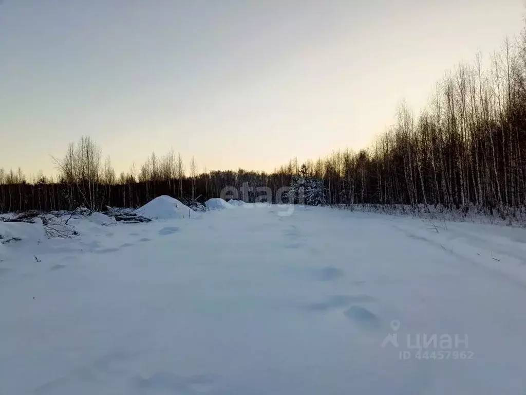 Участок в Челябинская область, Сосновский район, с. Кременкуль  (13.2 ... - Фото 0