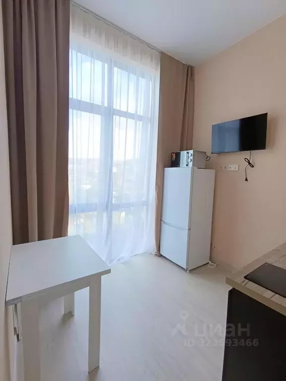 Студия Краснодарский край, Сочи Агро СНТ, 284/1 (24.0 м) - Фото 2