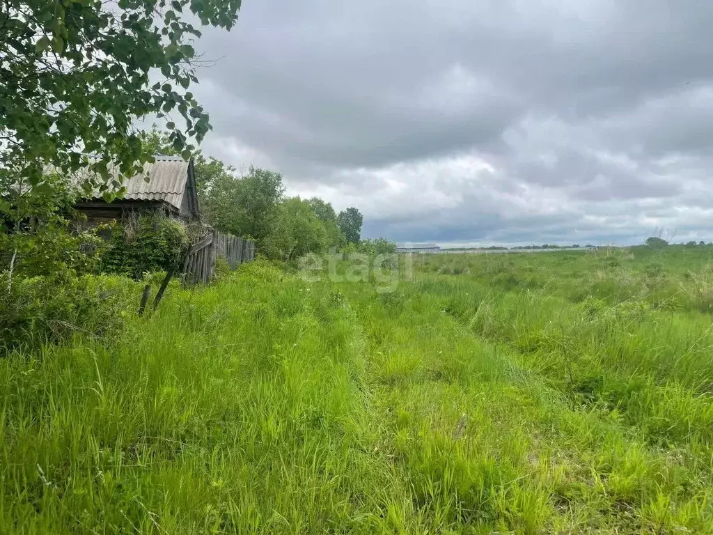 Участок в Хабаровский край, Хабаровский район, Тополевское с/пос, с. ... - Фото 2