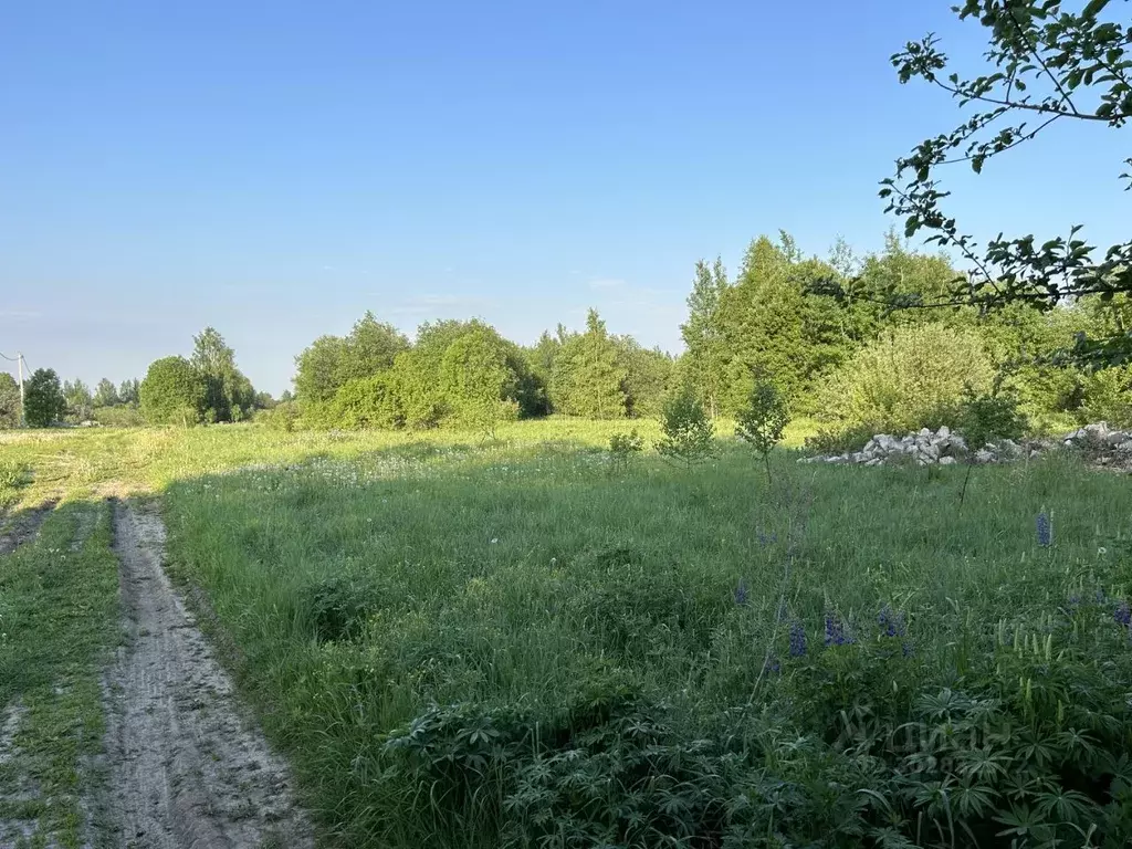 Участок в Владимирская область, Александровский район, Андреевское ... - Фото 0