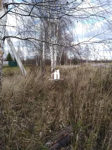 Продается участок в д. Крехтино - Фото 1