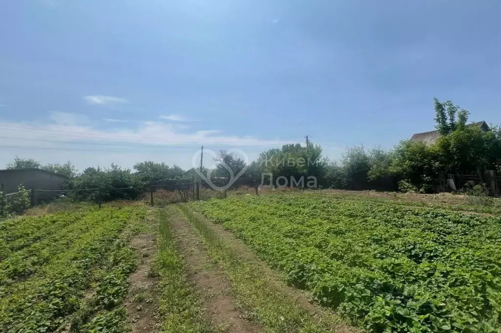 Участок в Волгоградская область, Среднеахтубинский район, ... - Фото 0