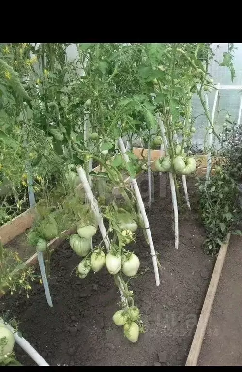 Дом в Новосибирская область, Новосибирский район, с. Верх-Тула ... - Фото 2