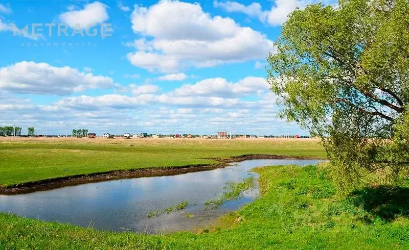 Участок в Новосибирская область, Новосибирский район, Толмачевский ... - Фото 0