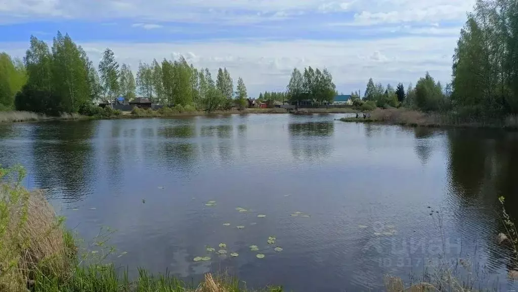 Участок в Ярославская область, Некрасовский муниципальный округ, д. ... - Фото 0