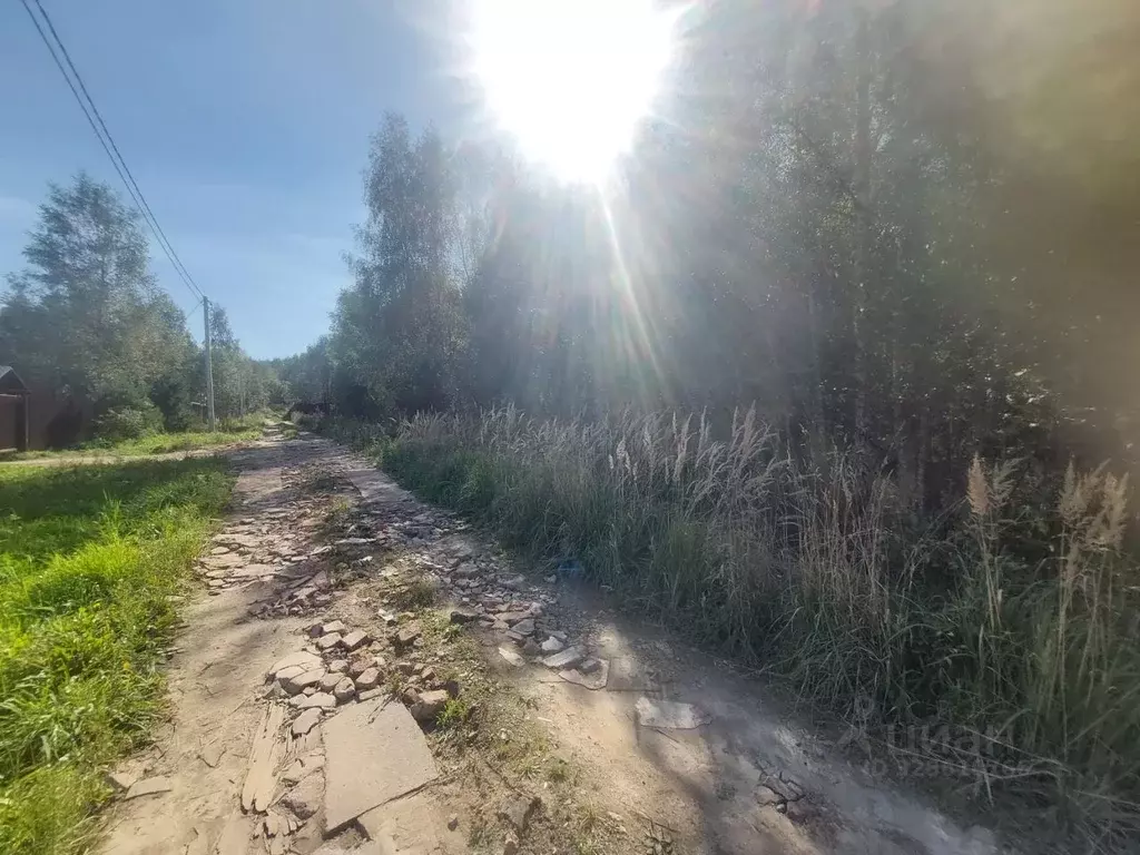 Участок в Московская область, Клин городской округ, д. Давыдково 347 ... - Фото 2