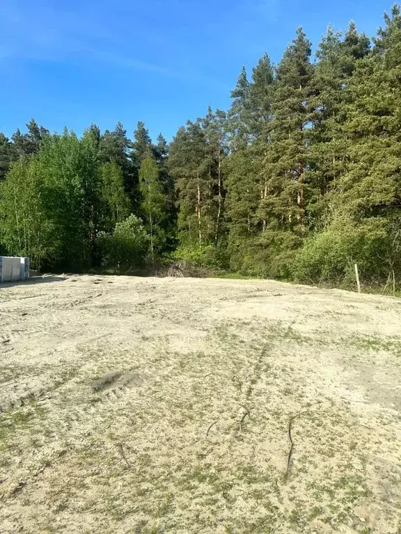 Участок в Московская область, Раменский городской округ, д. Литвиново ... - Фото 1