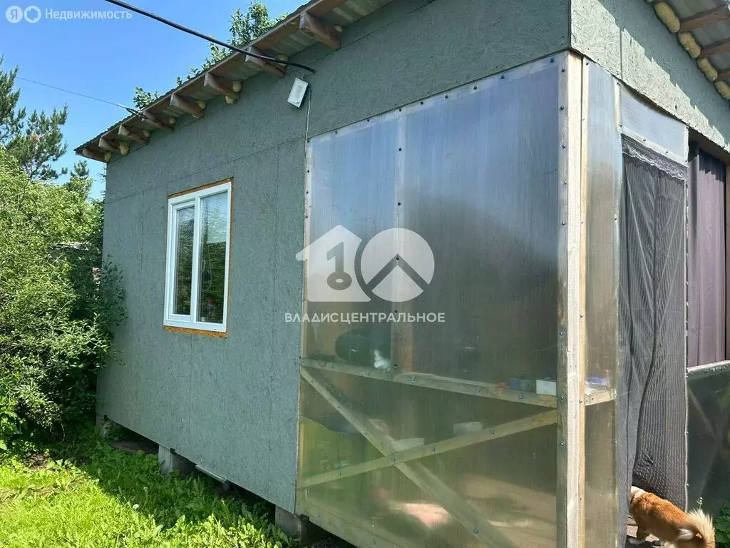 Участок в Новосибирск, СТ Берёзовая Роща, 393 (6 м) - Фото 1