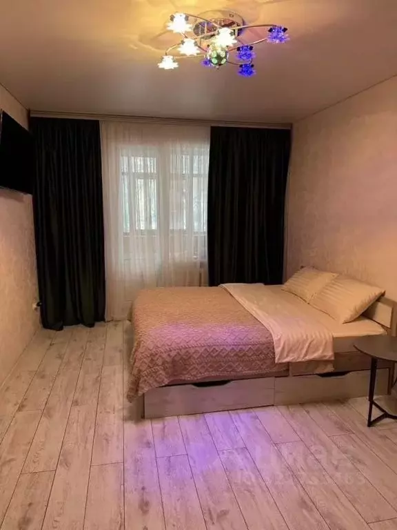 1-к кв. Курская область, Курск ул. Димитрова, 75 (32.0 м) - Фото 1