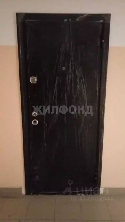 Помещение свободного назначения в Новосибирская область, Новосибирск ... - Фото 0